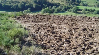 Pièges à sangliers : un sujet sensible entre agriculteurs et chasseurs ?