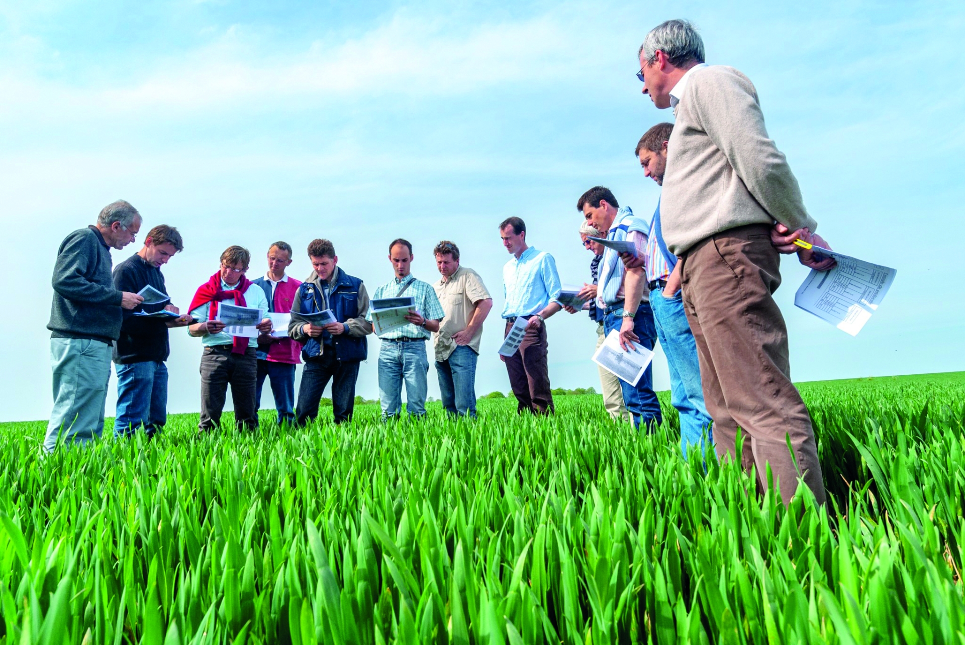 Élections chambres d’agriculture : mode d'emploi