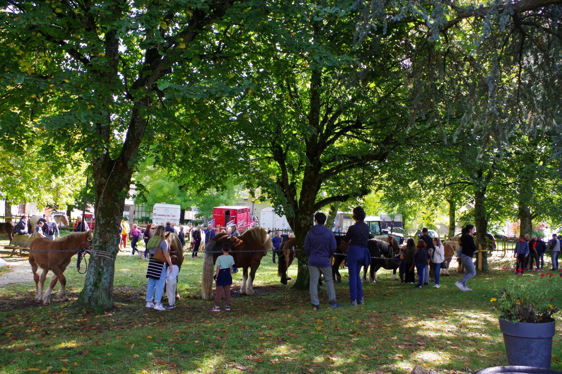 Retour sur la foire de Saint-Cirgues-en-Montagne