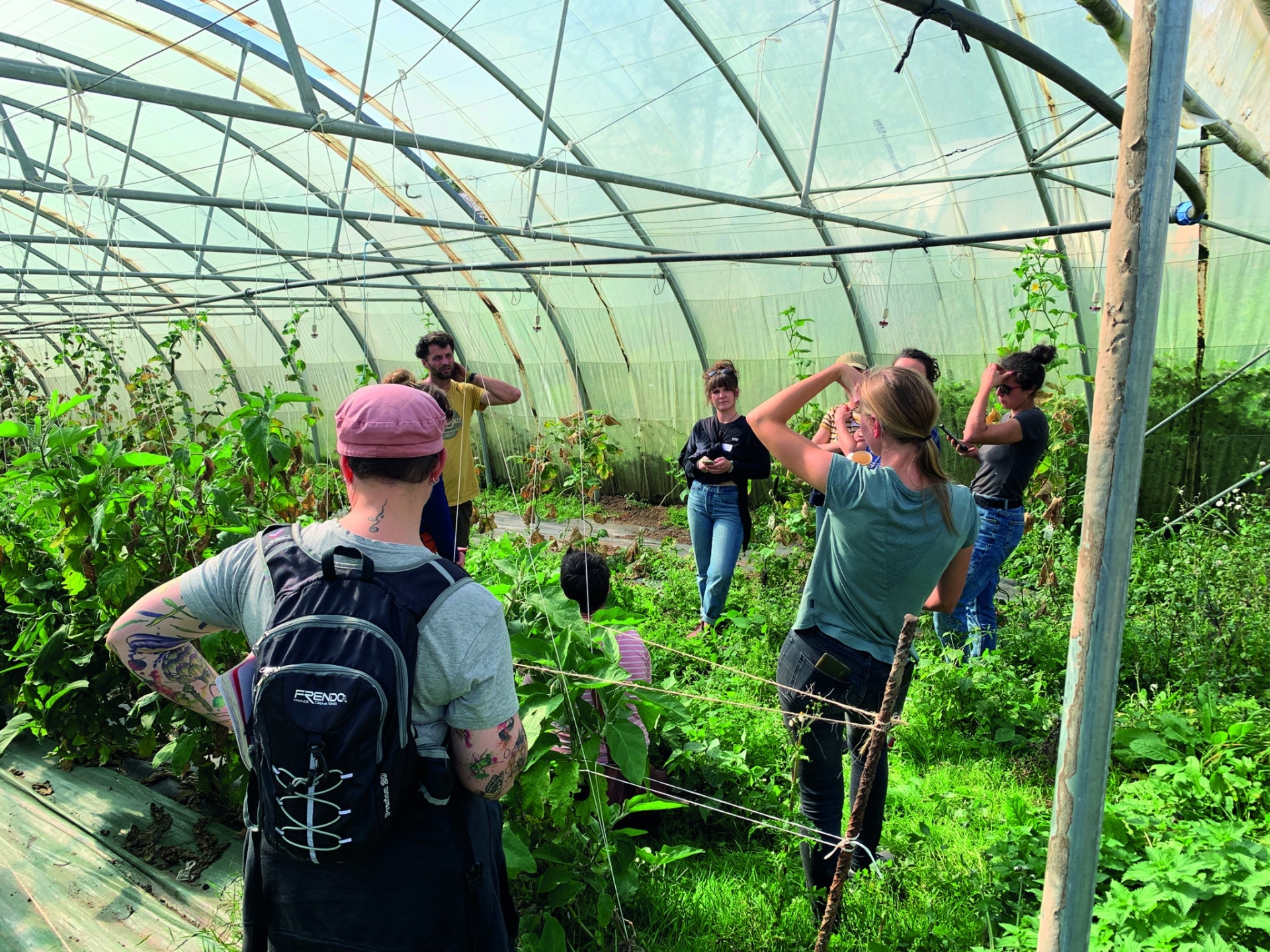 Aux Jardins du Treille, les exploitants programment l’irrigation des cultures