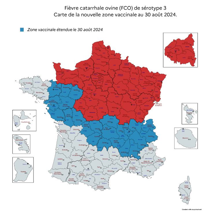 FCO-8 : vacciner est la priorité