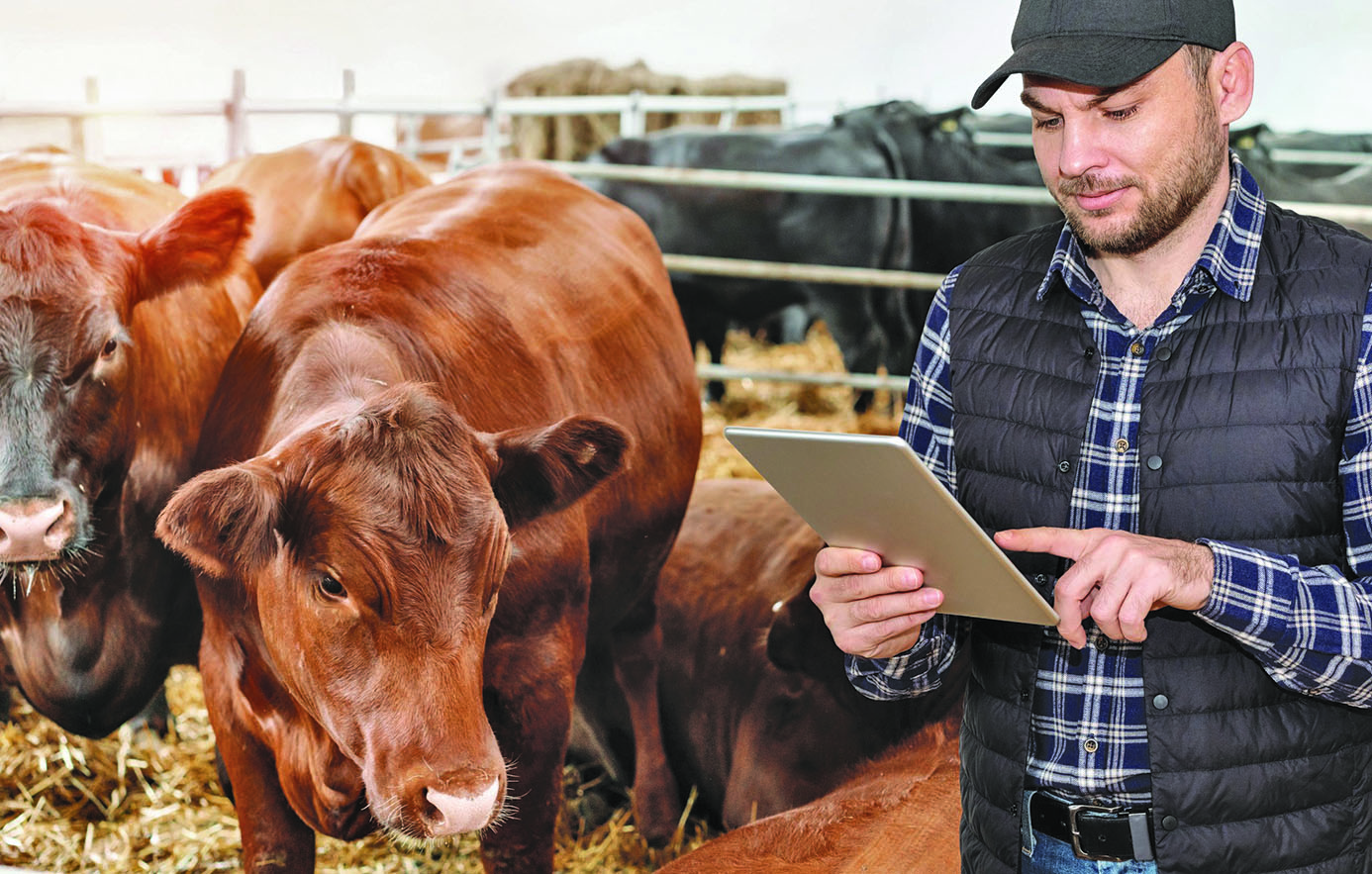 L’intelligence artificielle en agriculture accompagne les transitions