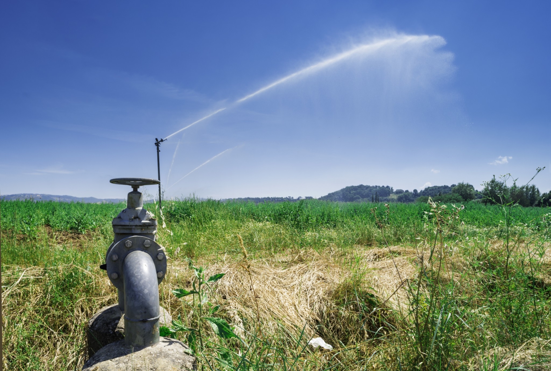 Une agriculture européenne sous contraintes 