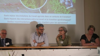 Agronomie : réflexion sur le travail agricole et la transition agroécologique