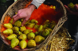 La FNPF, fer de lance d’une production fruitière française plus compétitive