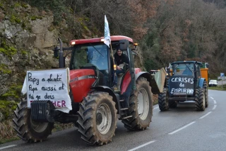 Les producteurs de cerises dans la rue