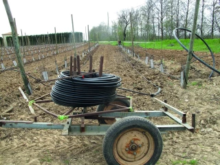 Construire l’arboriculture du changement climatique