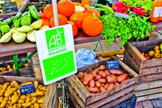 Fruits frais bio : des achats en recul, mais une origine France en progression