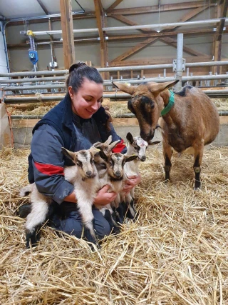 « Il y a une part éthique dans la consommation de chevreaux »