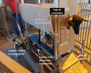 CapriMam3D, l’innovation technologique au service de la traite 