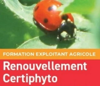 Renouvelez votre Certiphyto et n’oubliez pas votre conseil stratégique phyto !