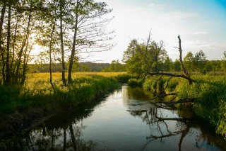 Une méthodologie sur les prélèvements en hautes eaux finalisée