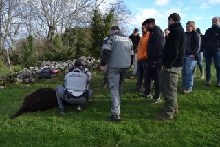 Plan loup : Berzème entre en cercle 1