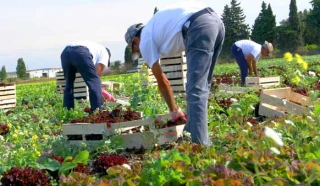 Formation et emploi : pierres angulaires de la pérennité des exploitations agricoles