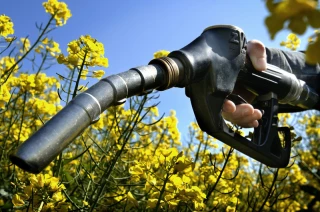 Le biofioul prêt à remplacer le fioul d’origine fossile