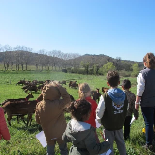 Une journée pour sensibiliser les enfants au monde agricole