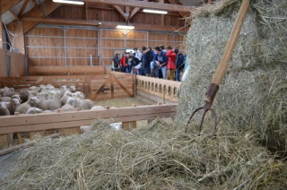 Comment les lycées agricoles s’adaptent aux défis de demain ?