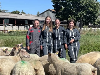 « Revenons à nos moutons » 