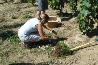 Biodiversité : un nouveau réseau agricole ardéchois !