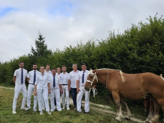 Au concours régional de Trait Comtois, l'Ardèche bien représentée