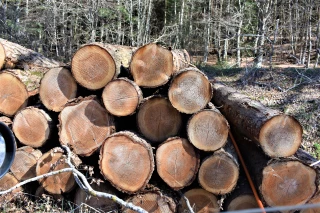 Un quiz pour les professionnels du bois de chauffage