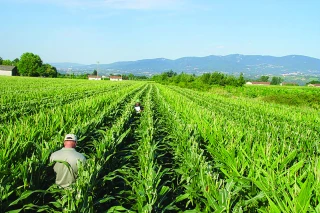 La filière plants et semences face au défi du changement climatique