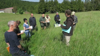 À la recherche de plantes indicatrices de bonnes pratiques environnementales