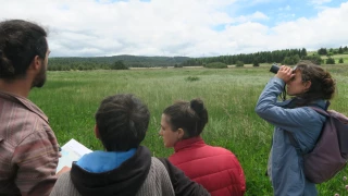 PAEC Mézenc-Vivarais : les mesures « zones humides » et « protection des espèces » en actions