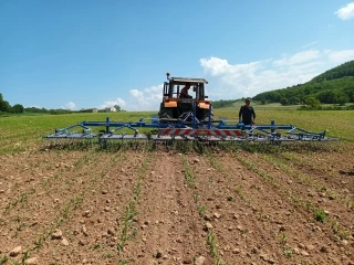 Développer de nouvelles pratiques pour réduire l’utilisation des herbicides