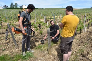 Désherbage : tour d’horizon de matériel l’électrique