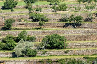 Domaine de la Barèze : haut lieu de la psychiatrie et de l'agriculture