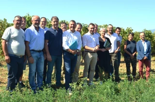 Vignerons Ardéchois : un modèle de soutien à l'installation