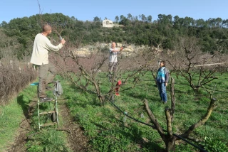 L’agriculture comme vecteur d’insertion