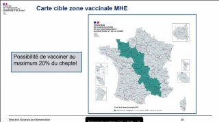 MHE :  l’ensemble de l’Ardèche concernée par la vaccination gratuite