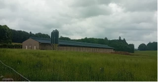 Une installation hors cadre familial en production d’œufs