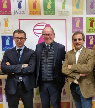 Vignerons indépendants : Ludovic Walbaum reste vice-président