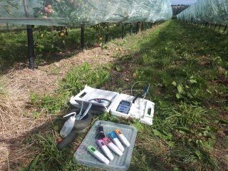 Des végétaux fermentés pour soigner la vigne