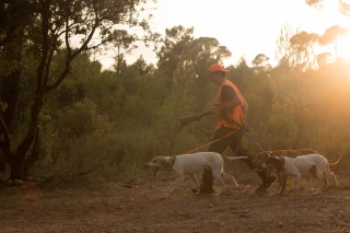 La chasse fait sa rentrée