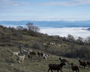 « L’agriculture ardéchoise peut compter sur nous » 