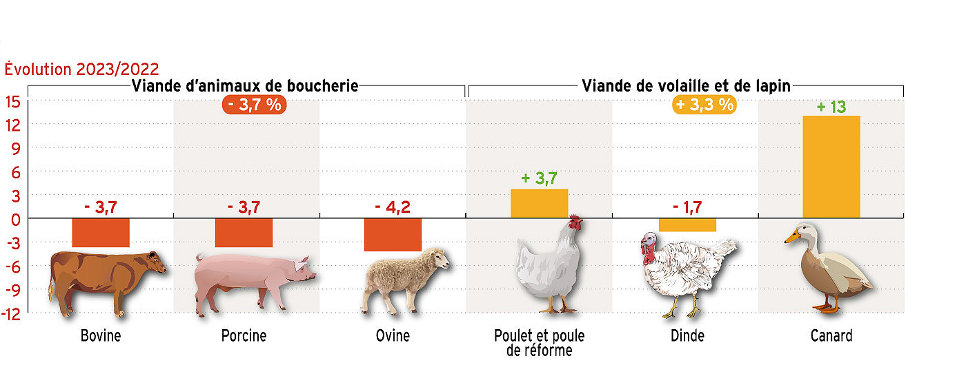 La consommation de viande rechute en 2023, sauf pour les volailles