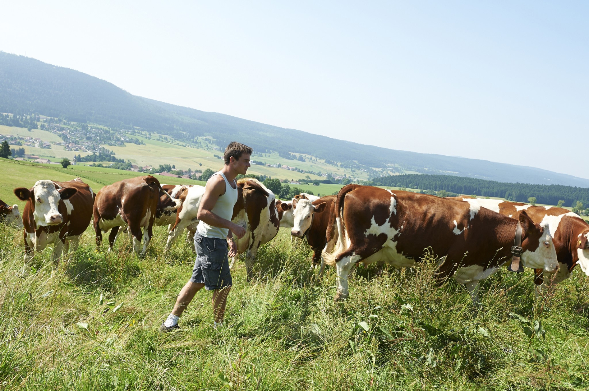 L’agriculture sur la bonne voie de la décarbonation