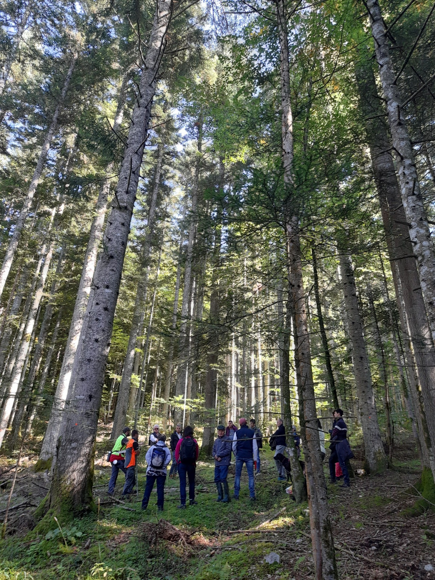 Une économie précieuse pour le territoire