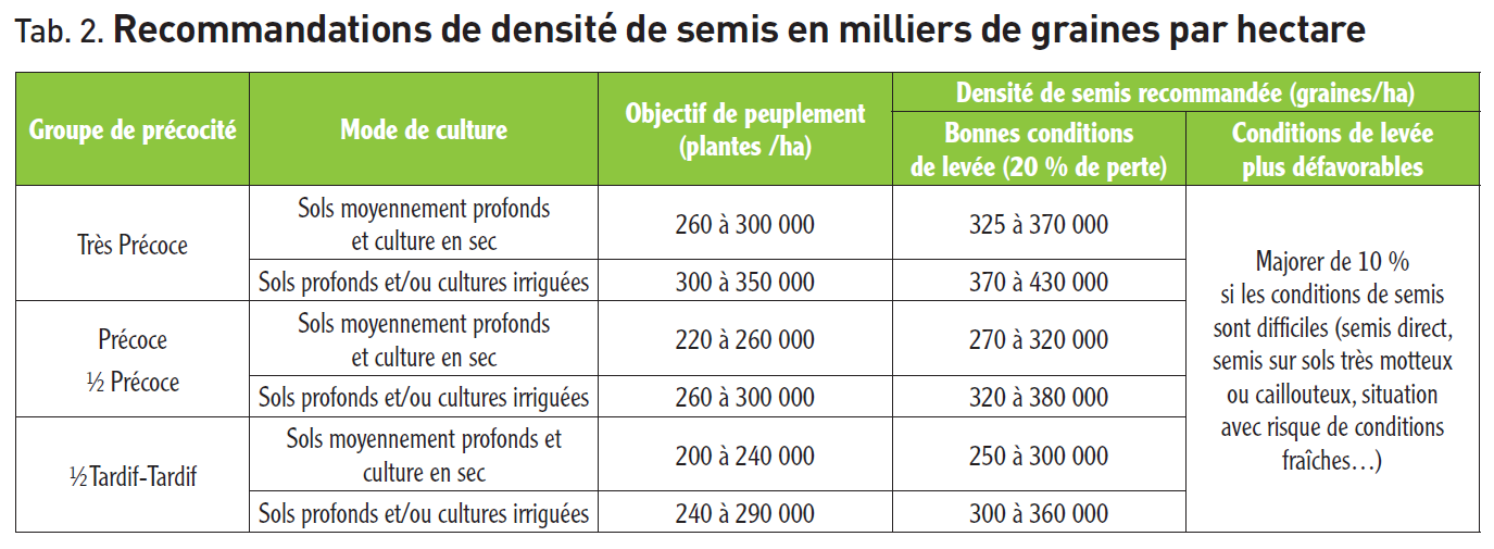 La Conduite Du Sorgho En 2021