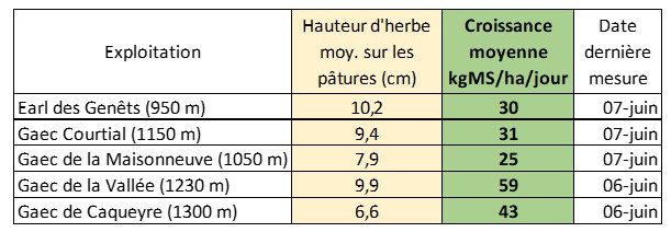 Pousse de l'herbe